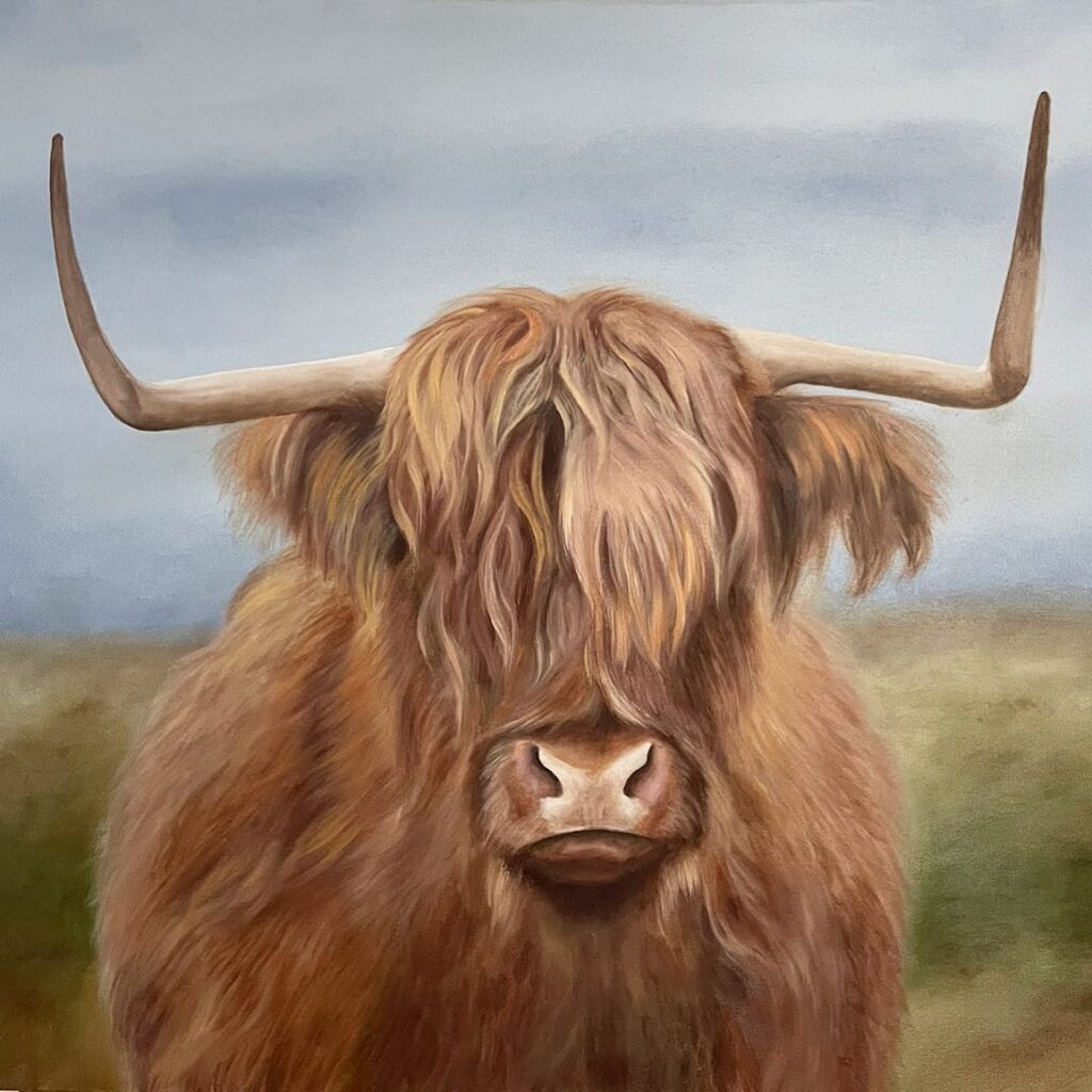 Natalia Rodriguez - Highland-Cow_oil_canvas_24x30